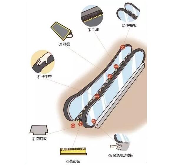 乘坐扶梯