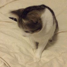乘坐电梯向上看