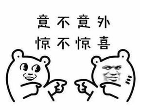 惊不惊喜