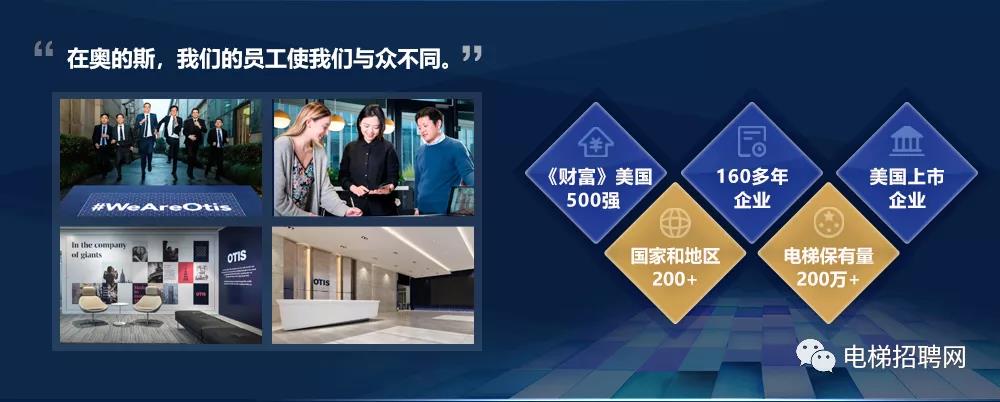 奥的斯简介